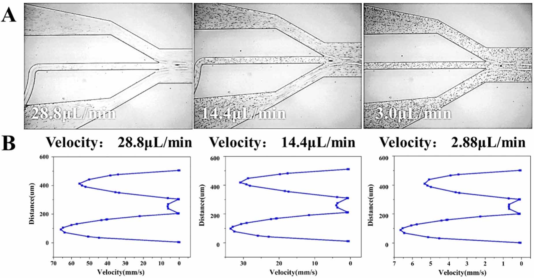 A particle-capturing and -separating, sheathless chip in series with ...