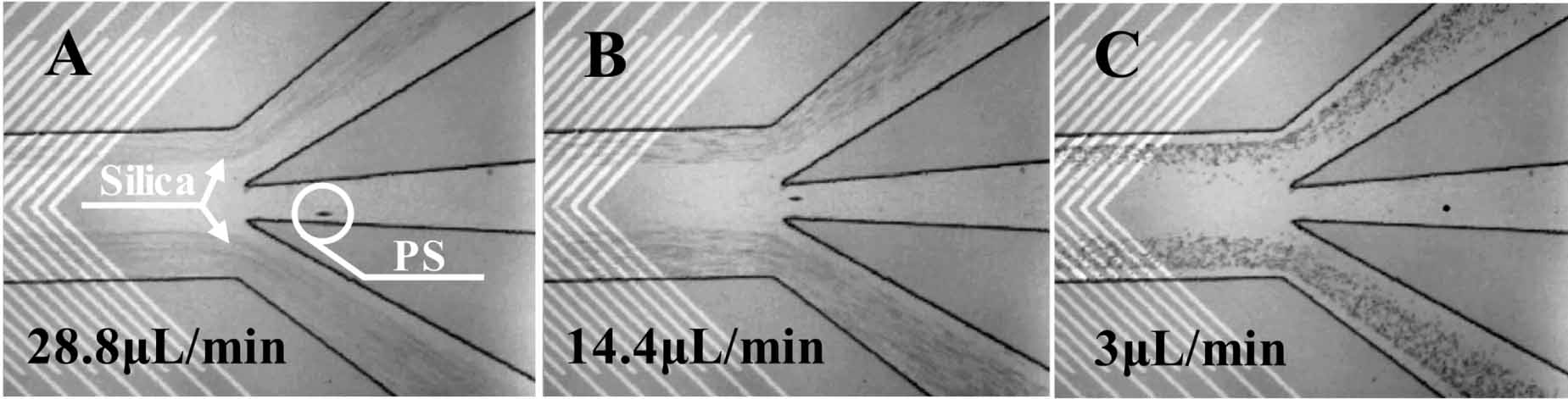 A particle-capturing and -separating, sheathless chip in series with ...
