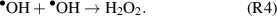 Equation (R4)