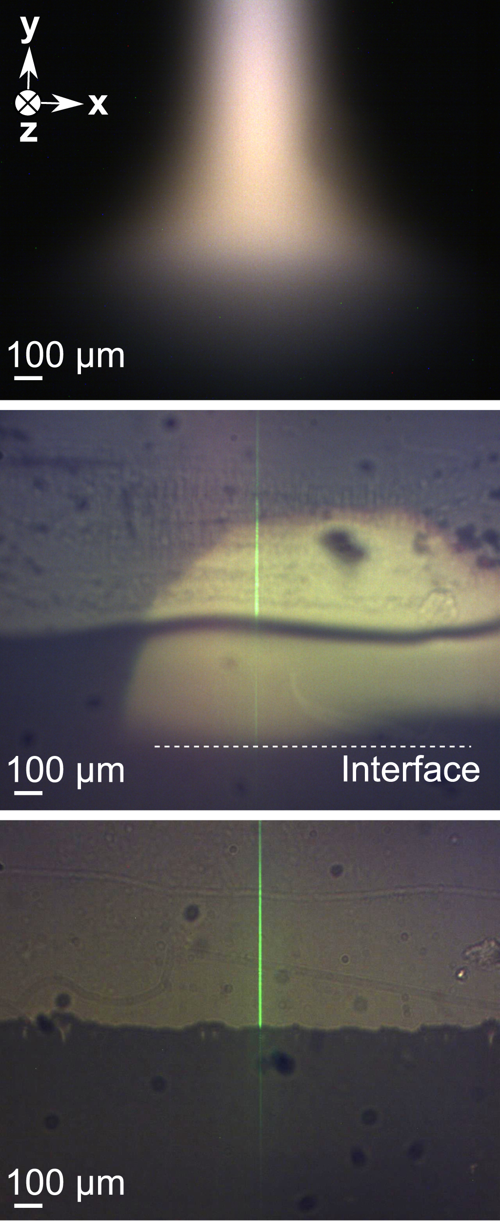 Plasma-liquid interfacial layer detected by in situ Raman light sheet ...
