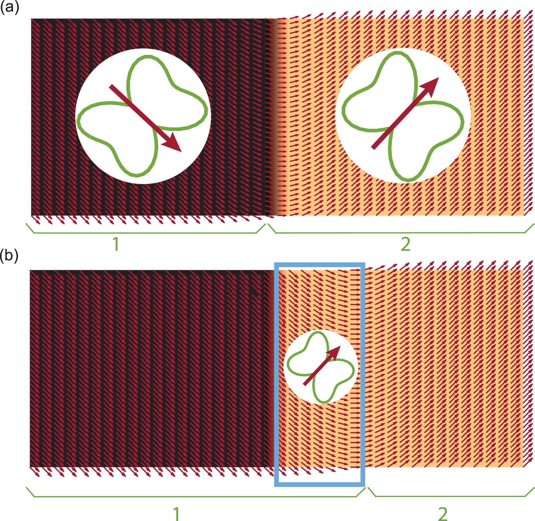 Linear and nonlinear spin dynamics in multi-domain magnetoelastic ...