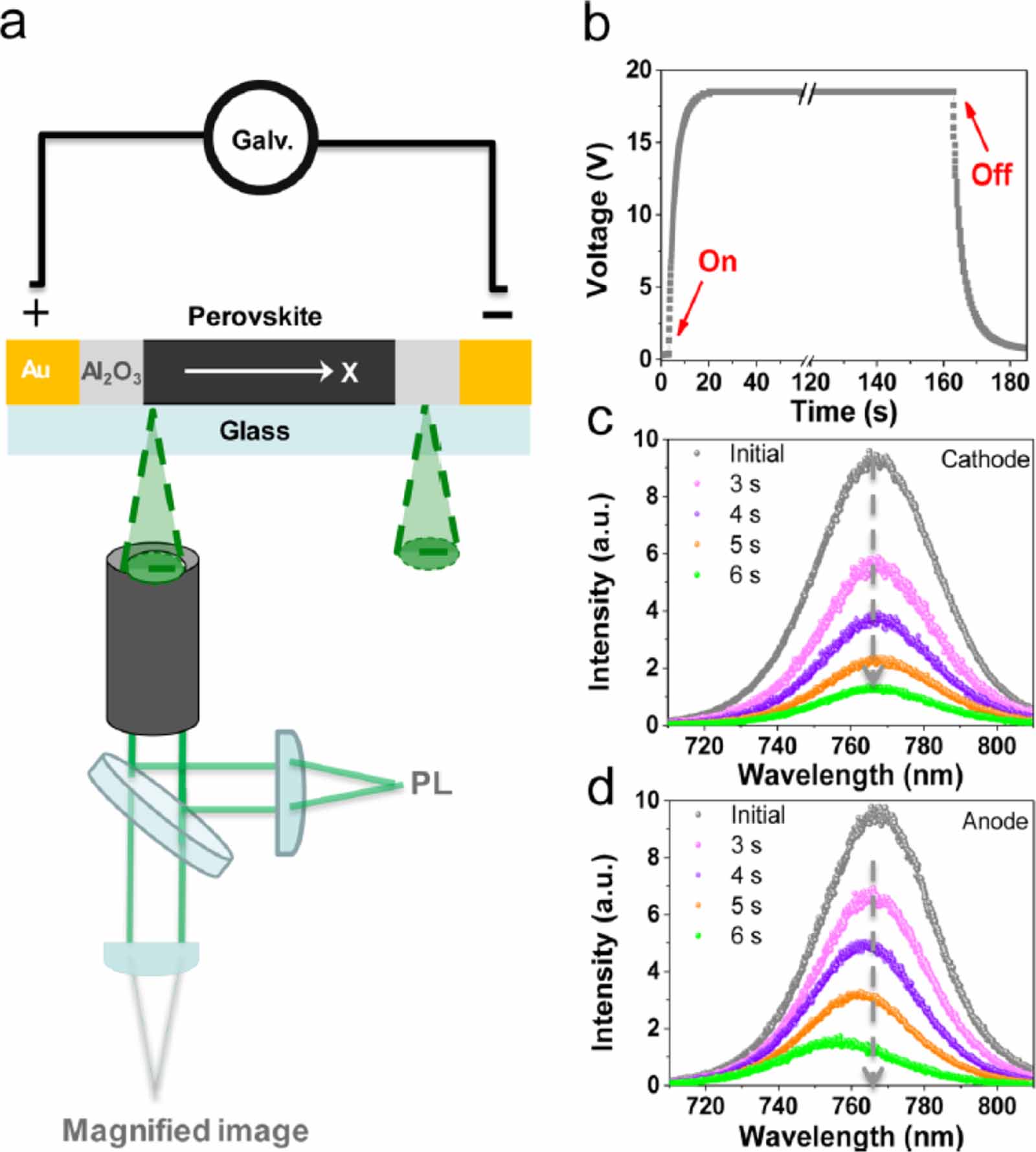 Real-time observation of ion migration in halide perovskite by ...