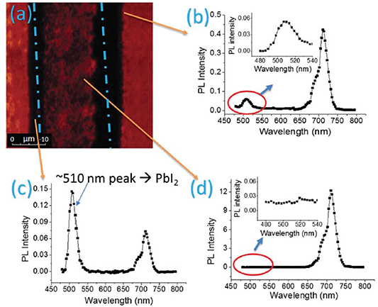 Real-time observation of ion migration in halide perovskite by ...