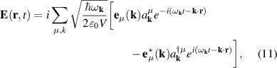 Equation (11)