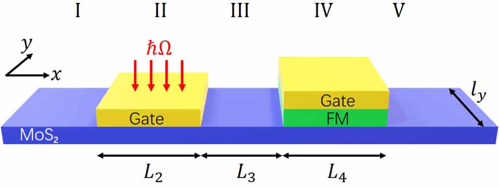 Simultaneous perfect polarization of spin and valley using monolayer ...