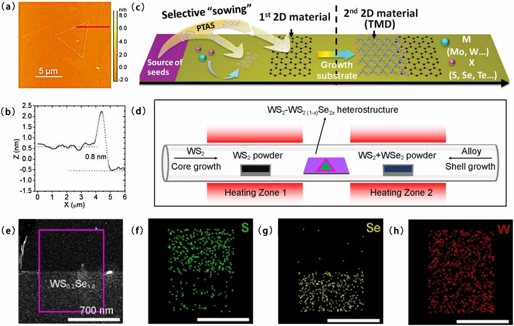 Two-dimensional heterostructures and their device