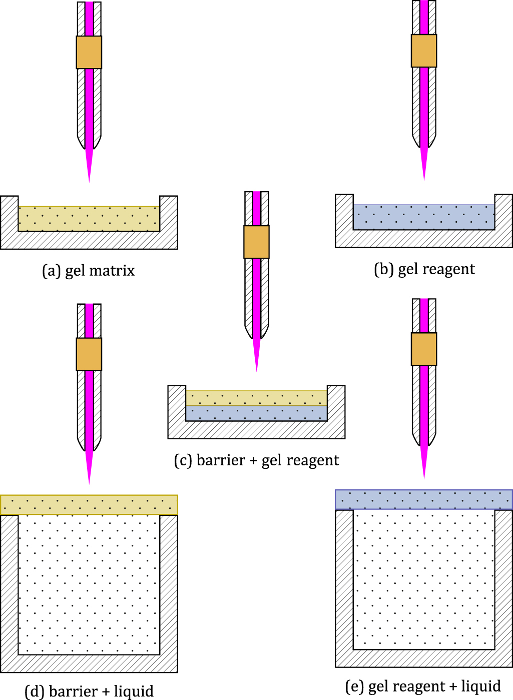 Gel models to assess distribution and diffusion of reactive species ...