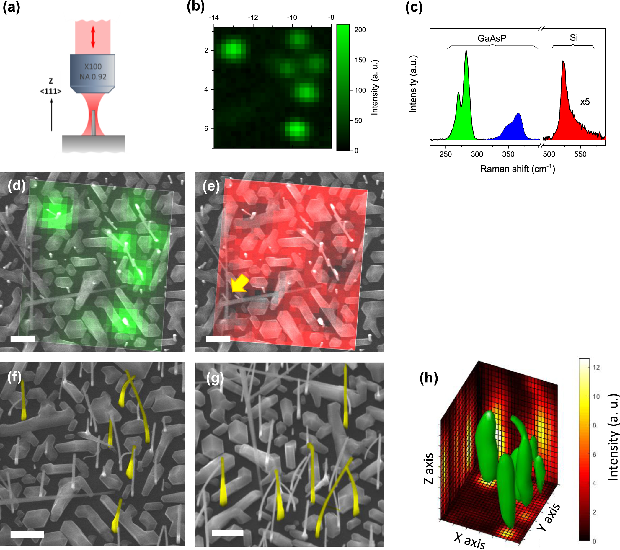 Polarization properties of Raman scattering by surface phonon ...