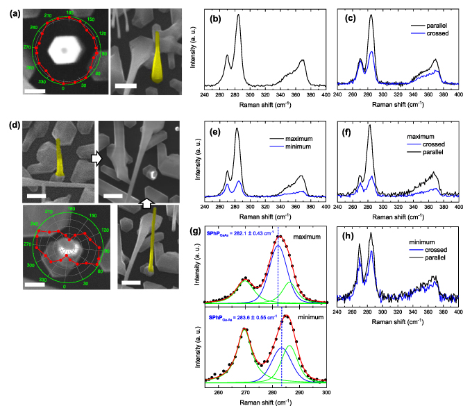 Polarization properties of Raman scattering by surface phonon ...