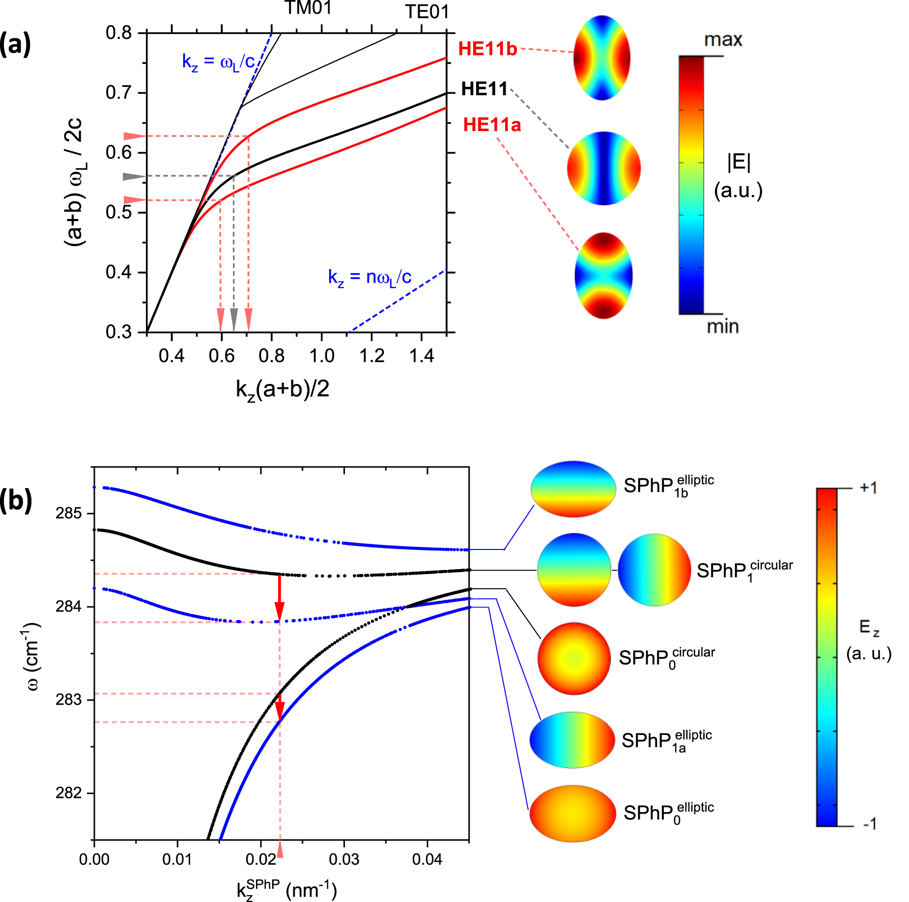 Polarization properties of Raman scattering by surface phonon ...