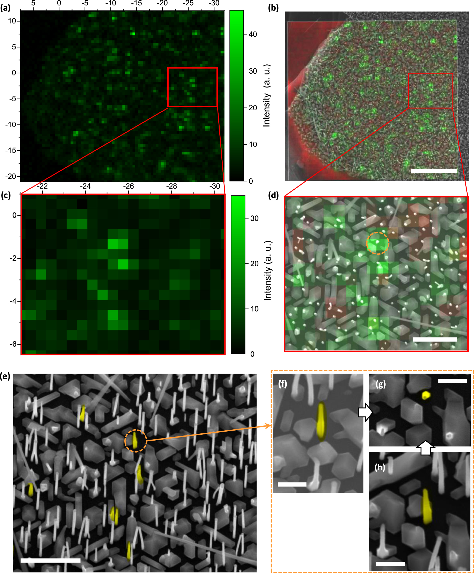 Resonant enhancement of Raman scattering by surface phonon polaritons ...