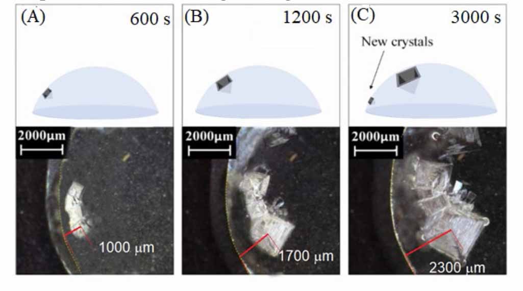 Applying pulsed corona discharge in hypersaline droplets - IOPscience
