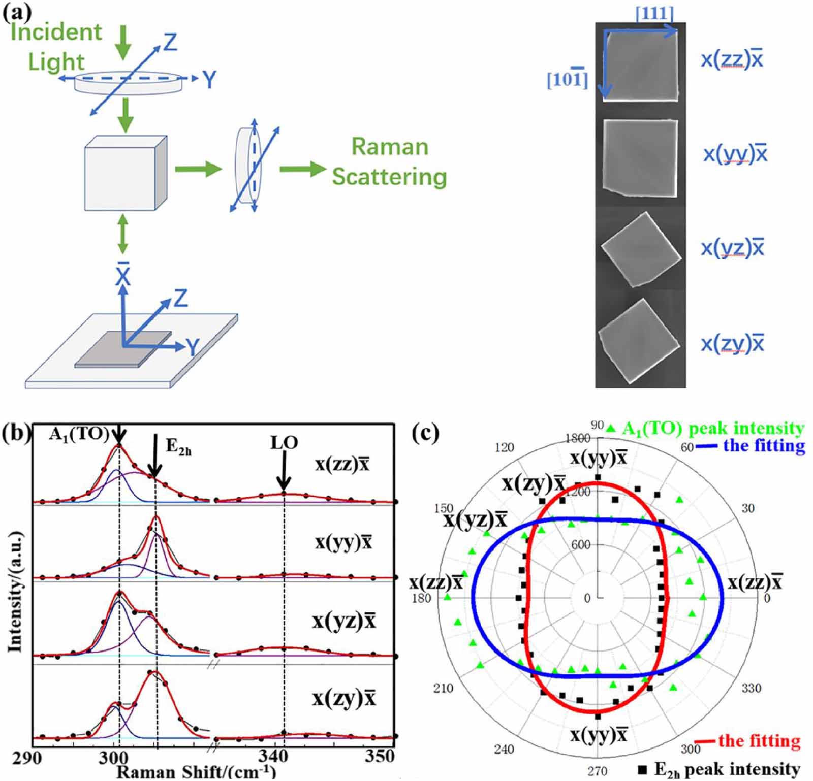 Wurtzite Raman Thermodynamic properties of metastable wurtzite InP nanosheets - IOPscience