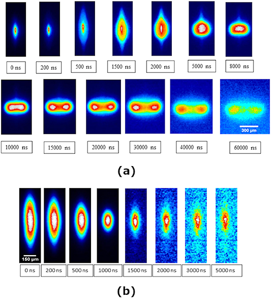 Dynamics and 2D temperature distribution of plasma obtained by ...