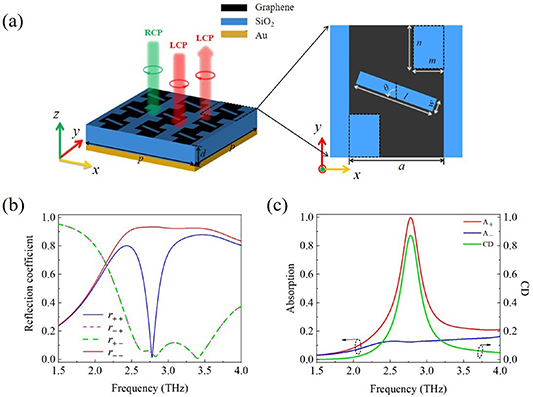 High-efficiency and tunable circular dichroism in chiral graphene ...