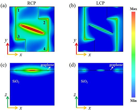 High-efficiency and tunable circular dichroism in chiral graphene ...