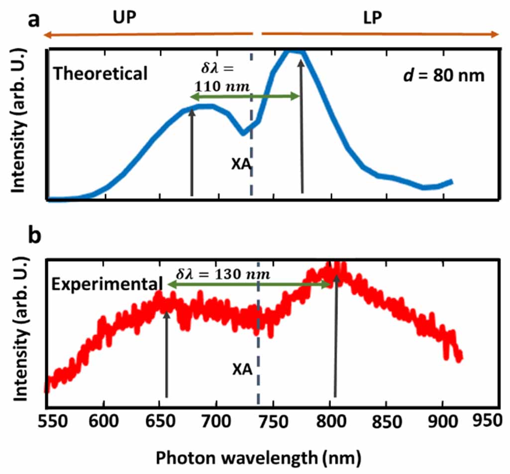 Interaction of excitons with Cherenkov radiation in WSe2 beyond the non ...