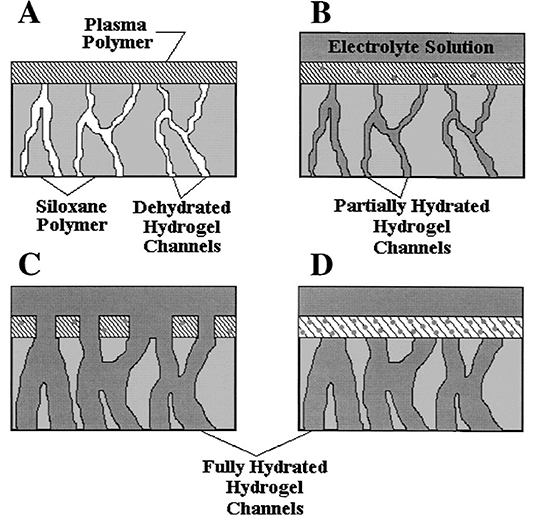 Plasma surface engineering for manmade soft materials: a review ...