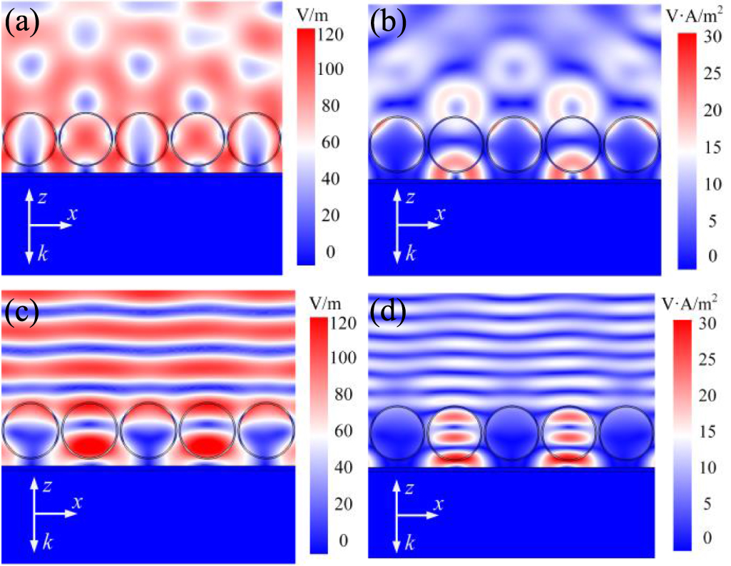 Transmission and backscattering characteristics of electromagnetic ...