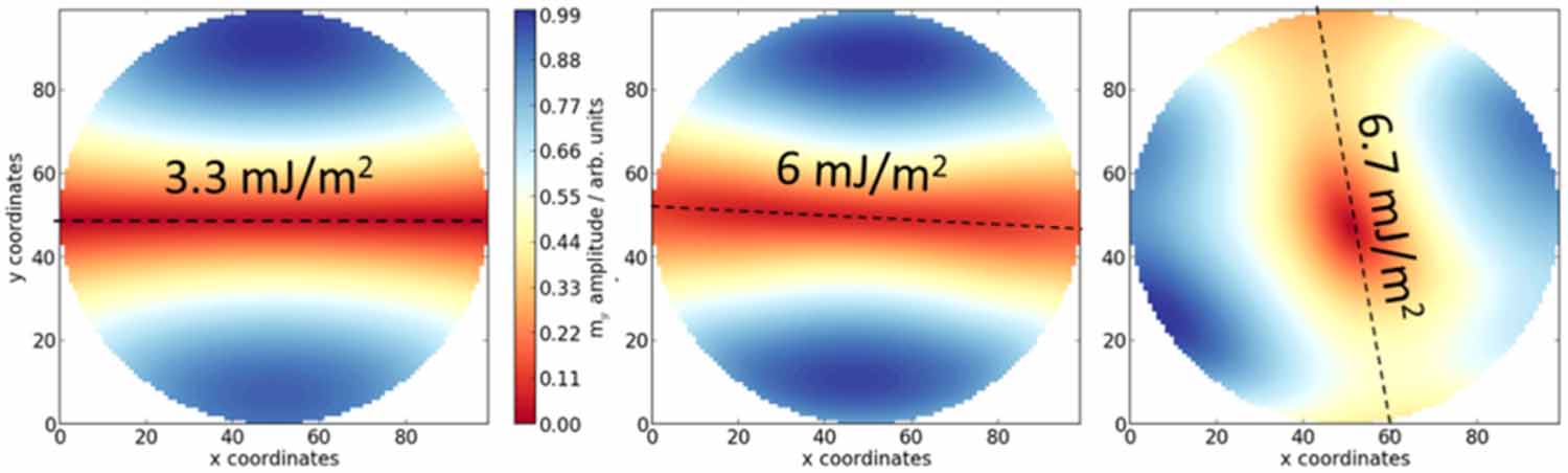 Effects of the interfacial Dzyaloshinskii–Moriya interaction