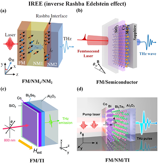 Terahertz interface physics: from terahertz wave propagation