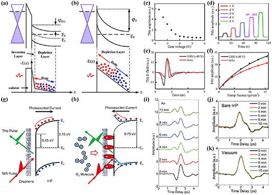 Terahertz interface physics: from terahertz wave propagation