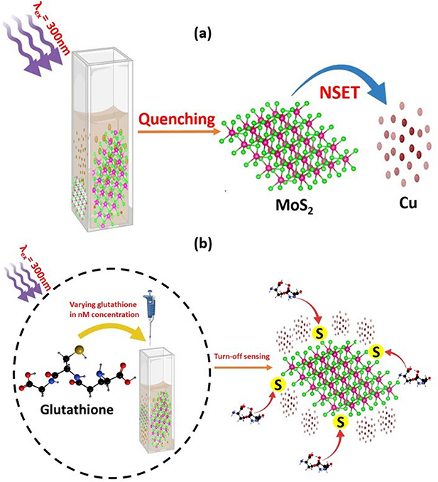 glutathione graphene electrochemical detection Enzyme-immobilized oxide-based biosensor for Picomolar glutathione detection based on What is Glutathione | Glutathione