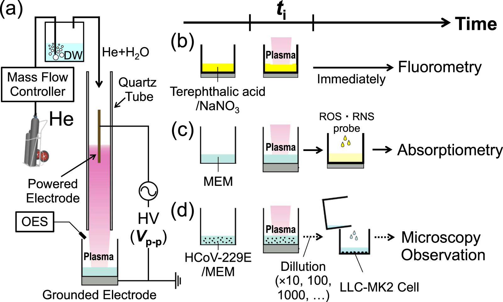 Human coronavirus inactivation by atmospheric pressure helium plasma ...