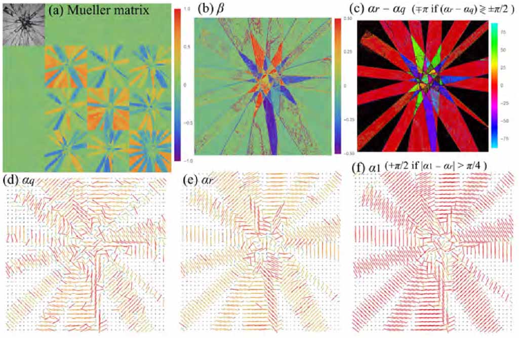 Polaromics: deriving polarization parameters from a Mueller matrix for ...