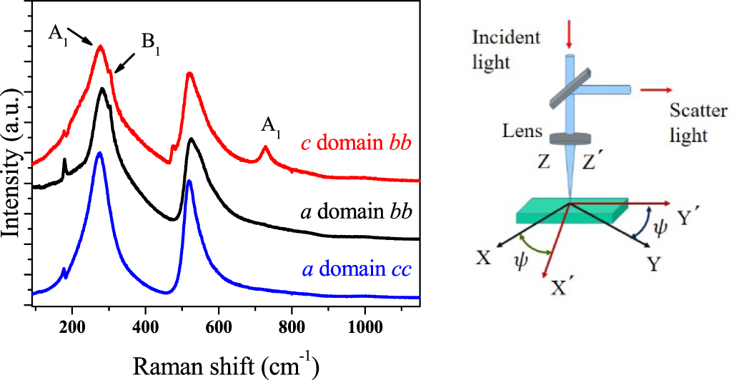 Tracing microscopic atomic displacements using polarized Raman ...
