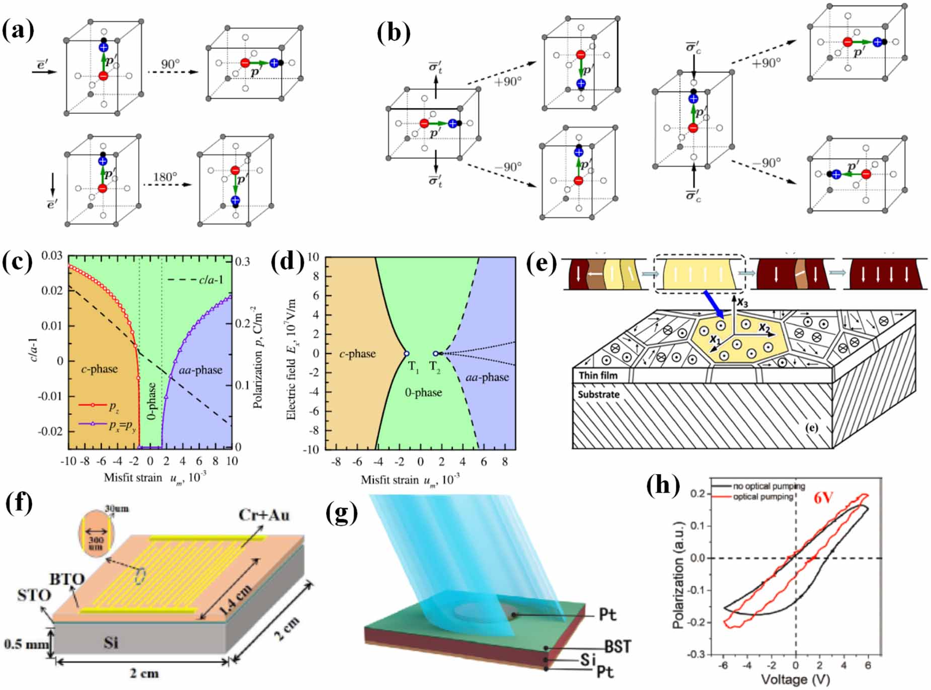 Ferroelectric composite artificially-structured functional