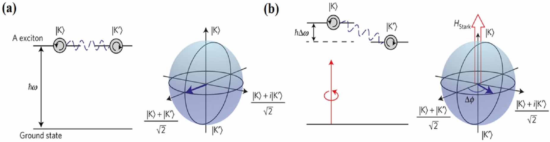 Valley degree of freedom in two-dimensional van der Waals materials ...