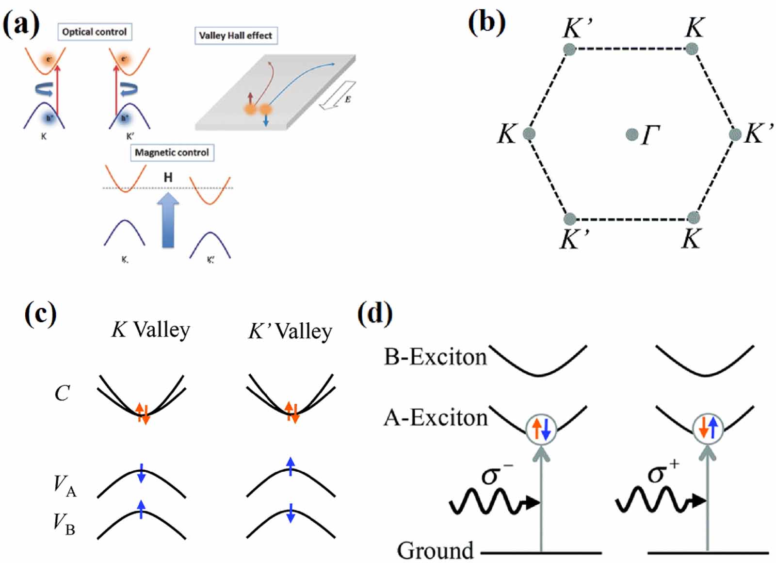 Valley degree of freedom in two-dimensional van der Waals materials ...