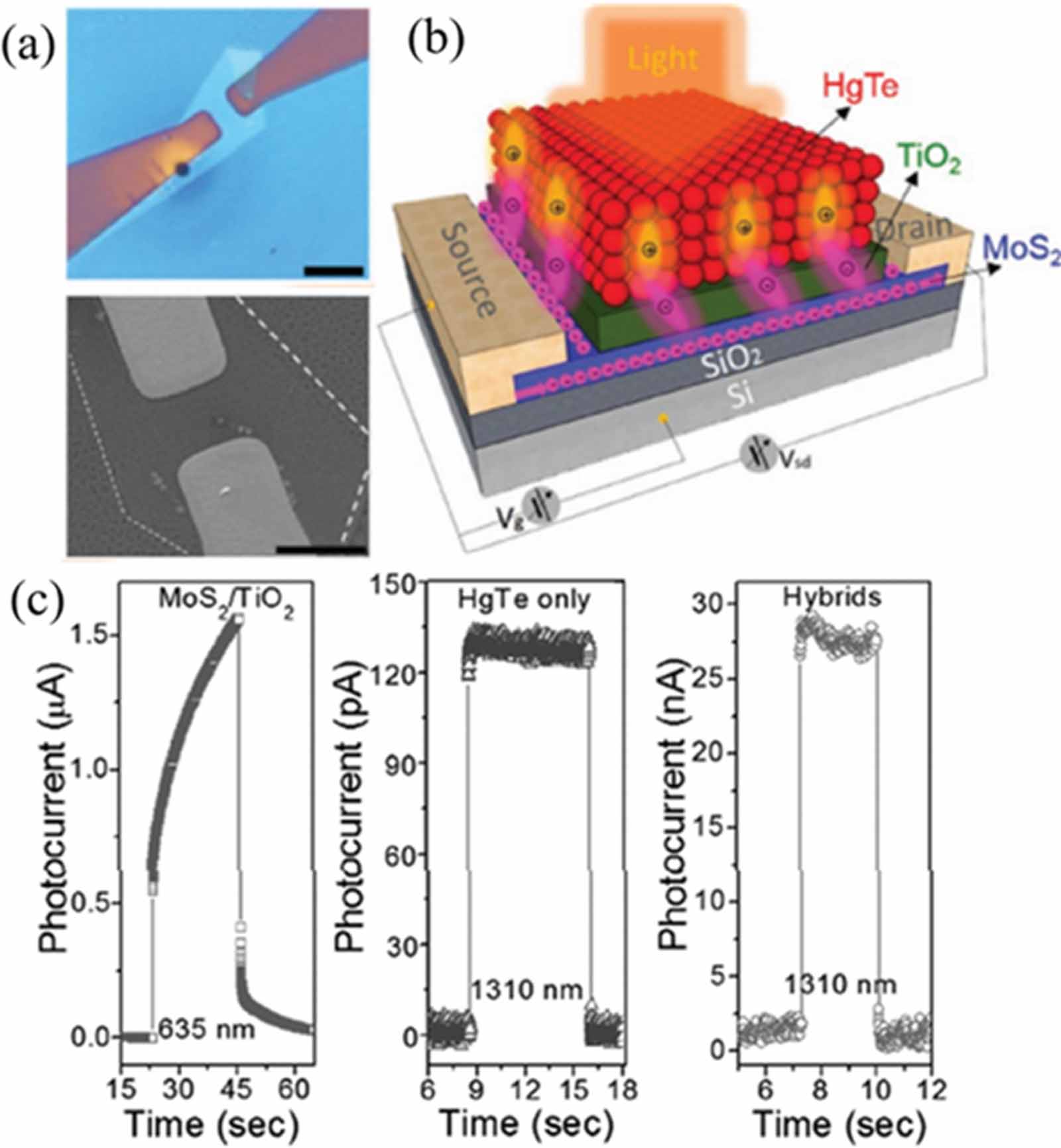 Review of recent progress, challenges, and prospects of 2D materials ...