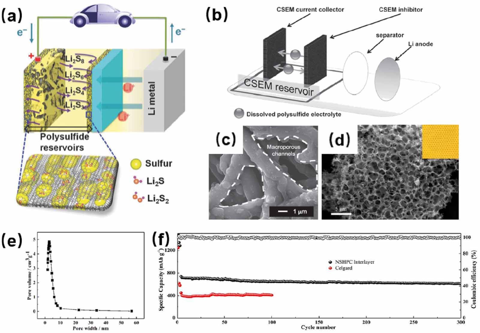 Renewable waste biomass-derived carbon materials for energy storage ...
