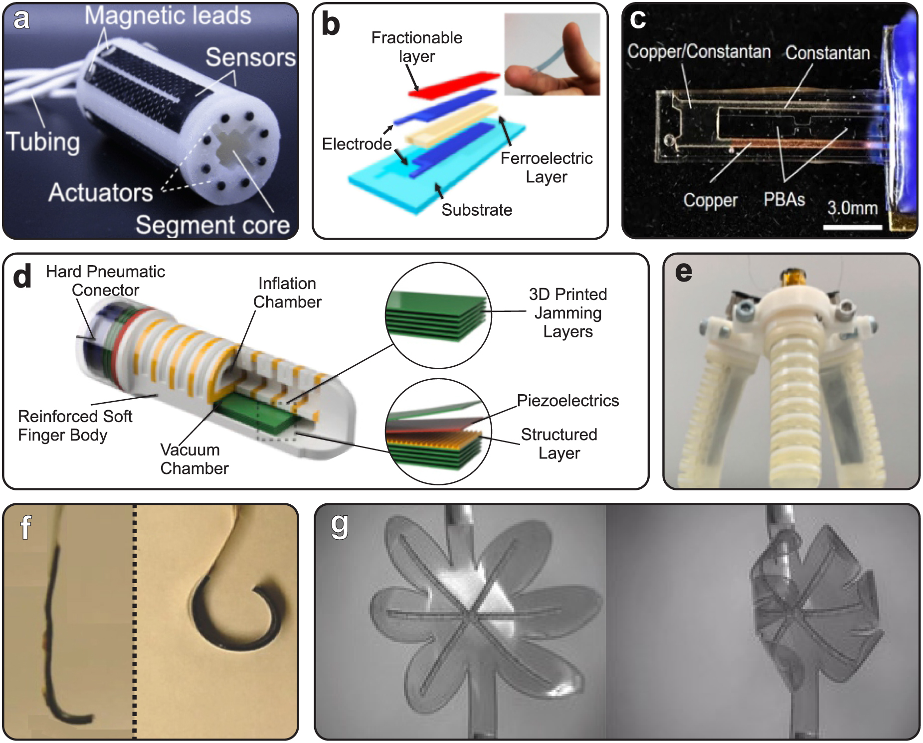 Fermi BioFlex Coppia | Attacco Rimovibile 3 Mm | Spessore 1,6 Mm | Lunghezza 10 Mm | Senza Metallo - Foto 9