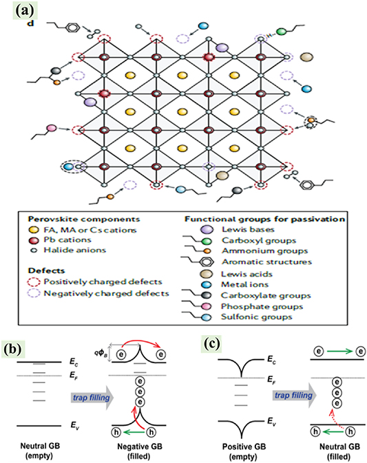 A comprehensive review on defect passivation and gradient energy ...