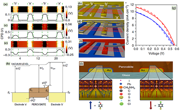 A comprehensive review on defect passivation and gradient energy ...