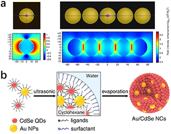 いずみ Enhanced Performance and High Resistance to Efficiency