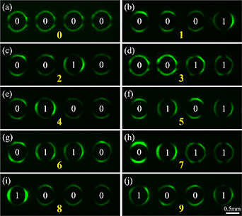 Verticular Byte Array Image Encoding and decoding communications based on perfect vector optical ...