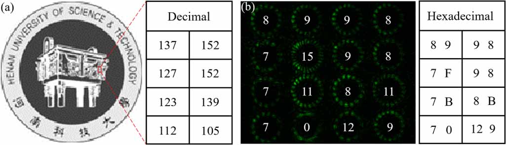 Verticular Byte Array Image Encoding and decoding communications based on perfect vector optical ...