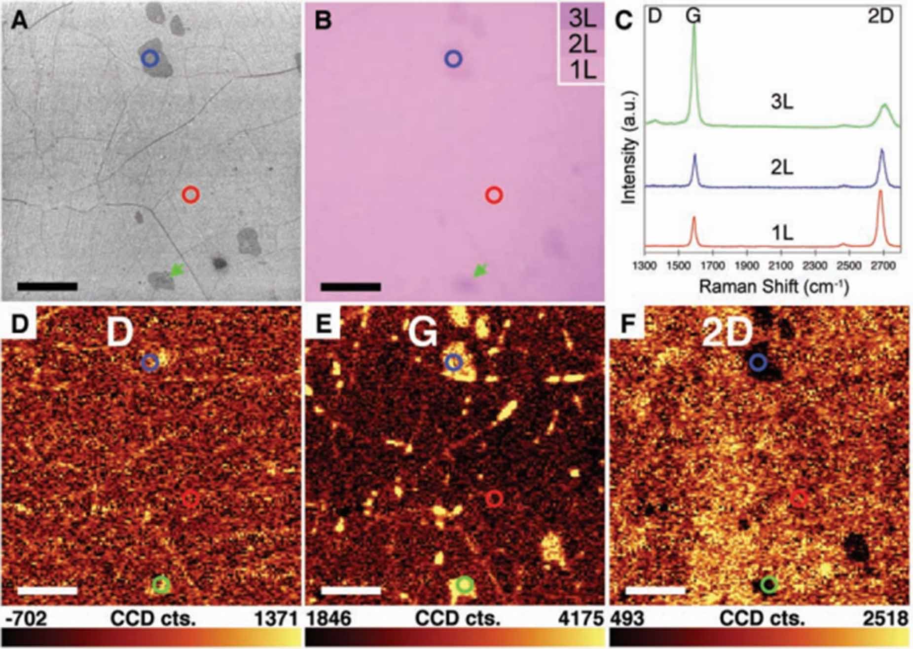 Chemical vapor deposition: a potential tool for wafer scale growth of ...