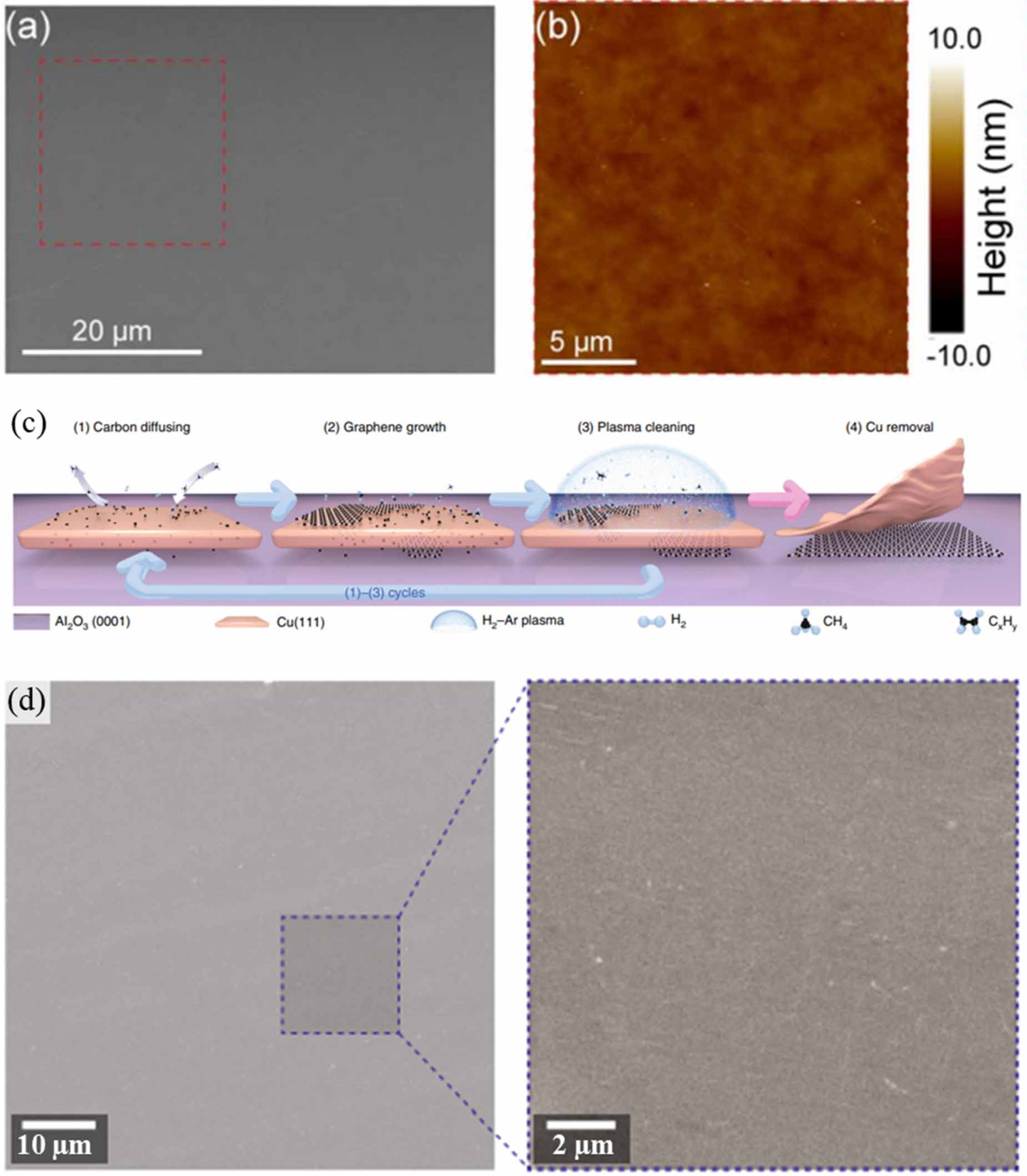 Chemical vapor deposition: a potential tool for wafer scale growth of ...