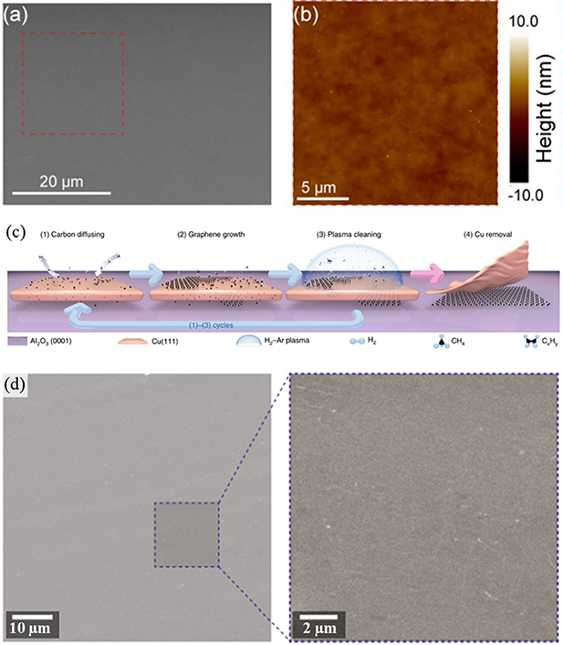 Chemical vapor deposition: a potential tool for wafer scale growth of ...