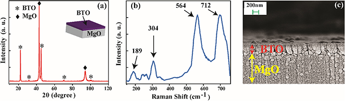 Temperature tunable electromagnetically induced transparency in ...