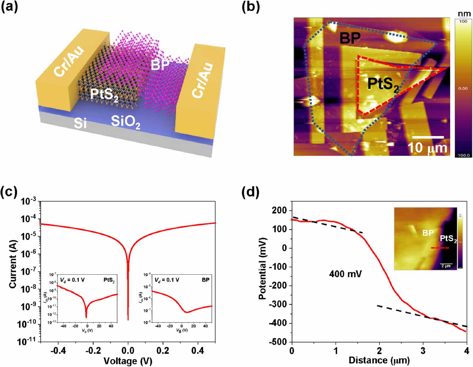 Polarization-sensitive infrared photodetectors based on van der Waals ...