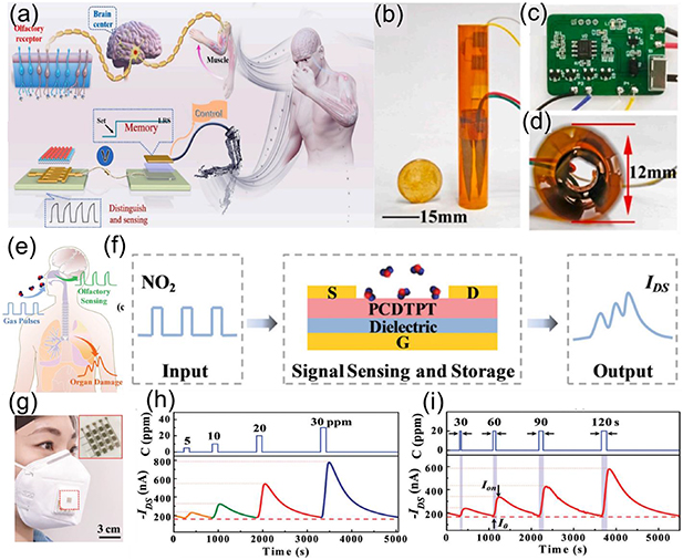 Recent advances in emerging neuromorphic computing and perception ...