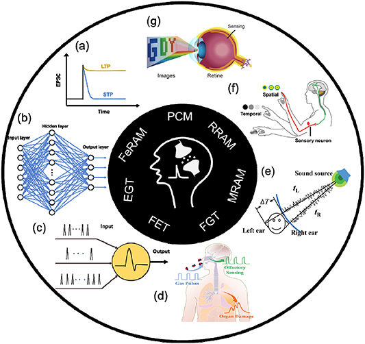 Recent advances in emerging neuromorphic computing and perception ...
