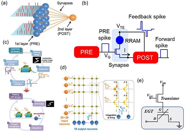 Recent advances in emerging neuromorphic computing and perception ...