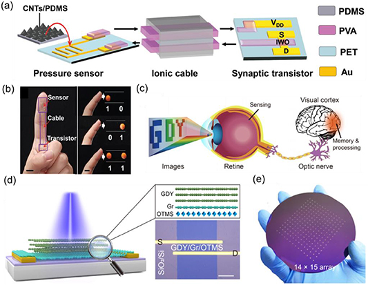 Recent advances in emerging neuromorphic computing and perception ...